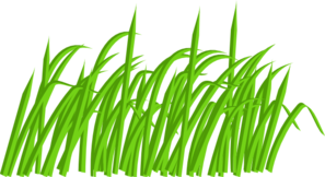297x162 Green Grass Blade Clip Art