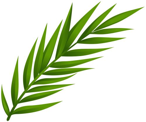 500x418 Leaves Of Grass Clipart