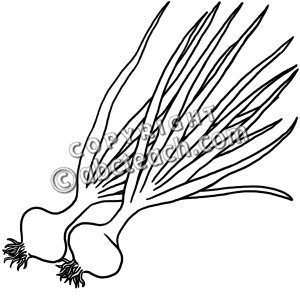 300x300 Black Amp White Clipart Onion