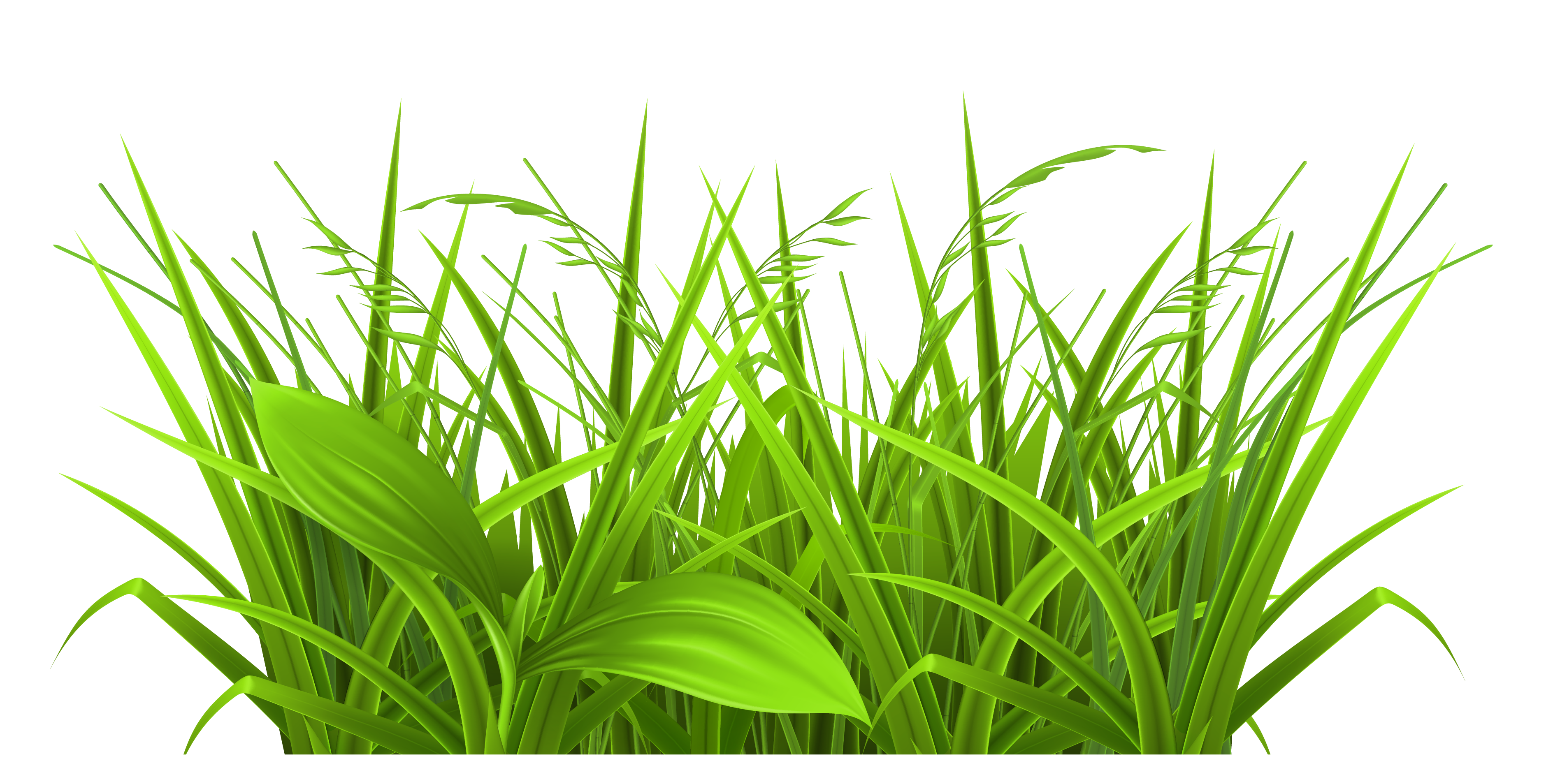 3758x1907 Grass Clip Art Free Clipart Images 4