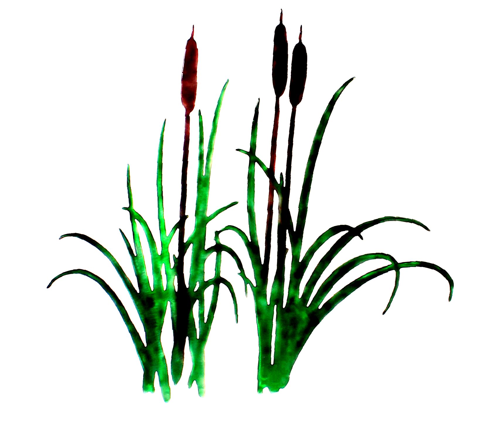 1645x1489 Grass Clipart Cattail