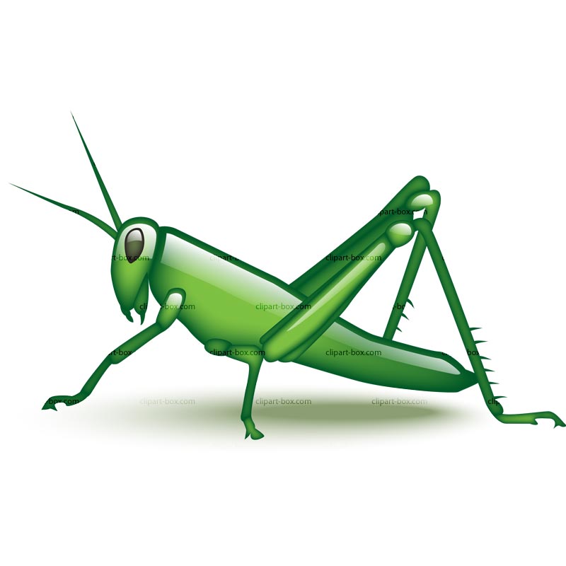800x800 Long Grass Clip Art Grasshopper In A Patch