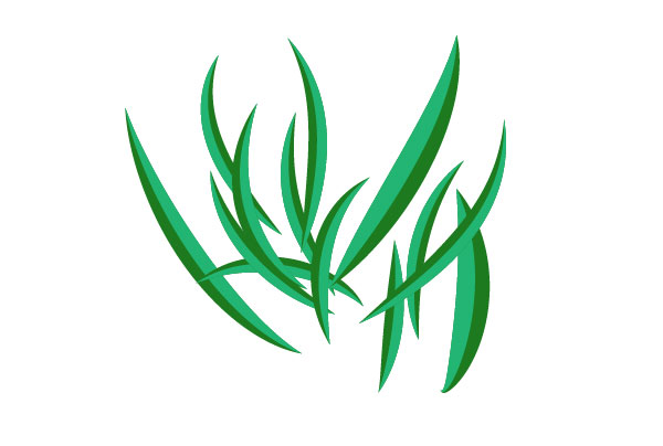 600x404 Of Grass Clipart