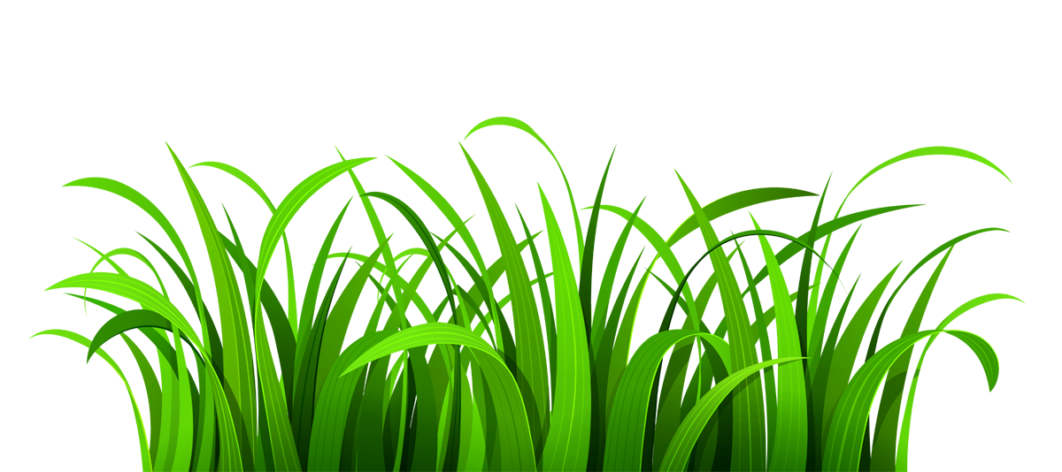 1200x534 Grass Clipart Clear Background