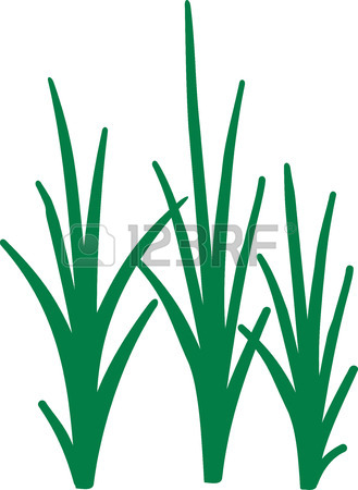 329x450 1,767 Marshes Stock Illustrations, Cliparts And Royalty Free