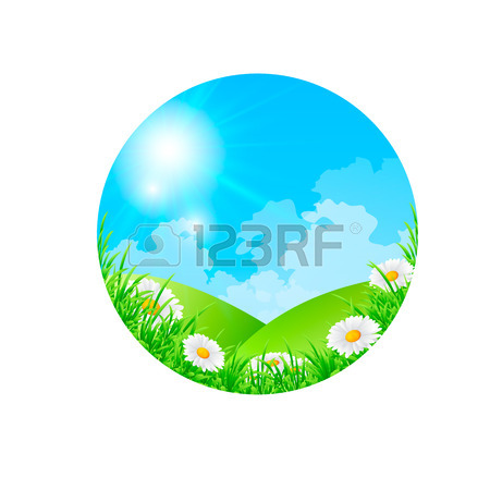 450x450 Daisy With Green Leaves On A White Background Royalty Free