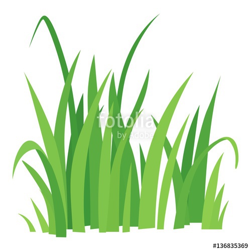 500x500 Grass Icon, Outline Style Stock Image And Royalty Free Vector