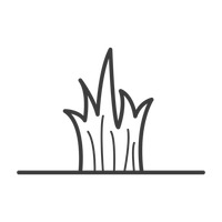 200x200 Icon Icons Growth Nature Outline Outlines Simple Minimalism