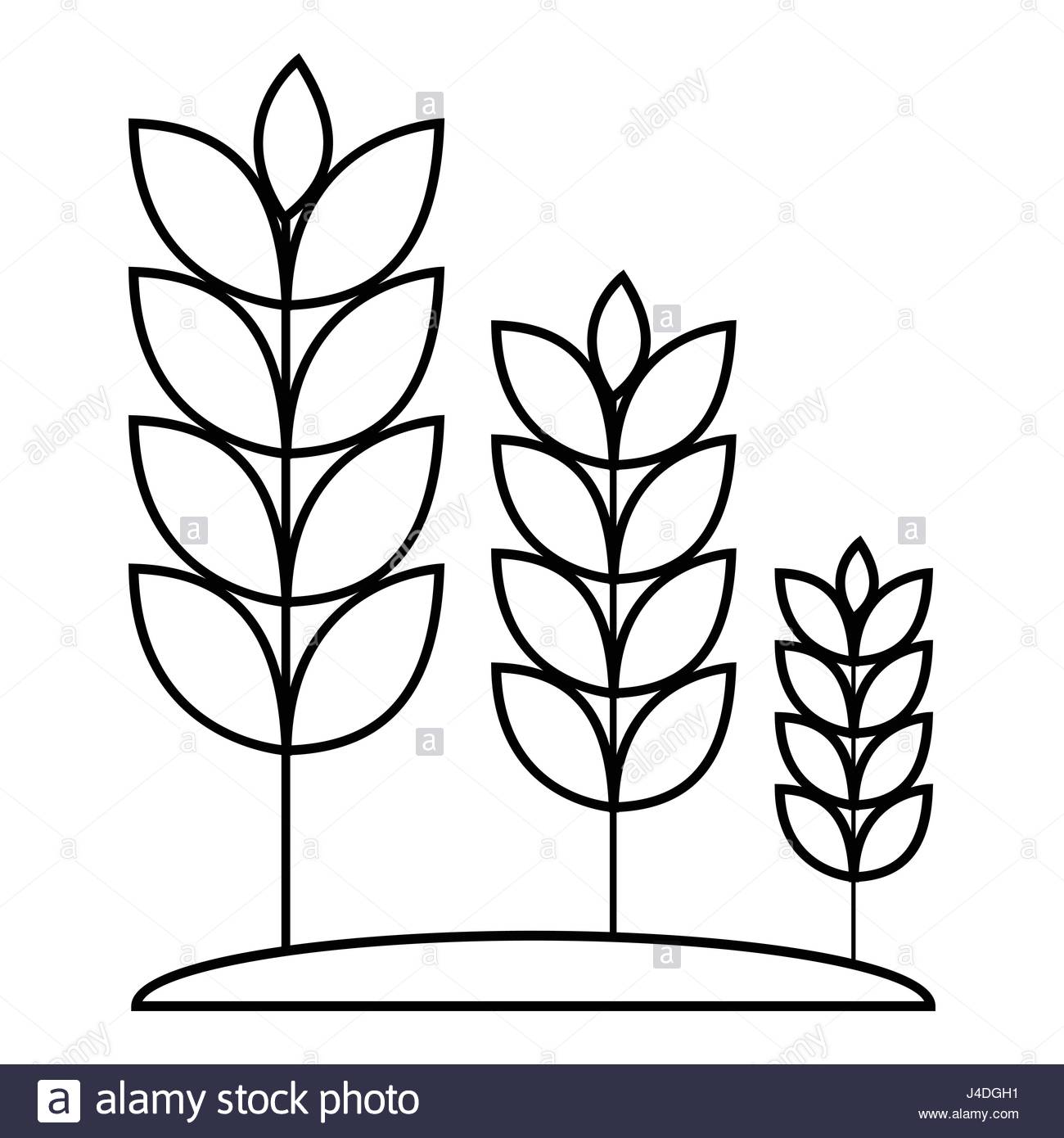 1300x1390 Wheat Germ Icon, Outline Style Stock Vector Art Amp Illustration