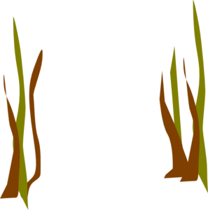 297x300 Dead Grass Clipart