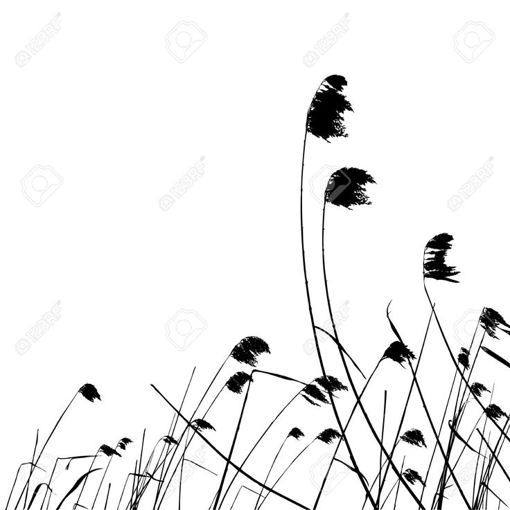 736x736 Best Grass Silhouette Ideas Flower Silhouette