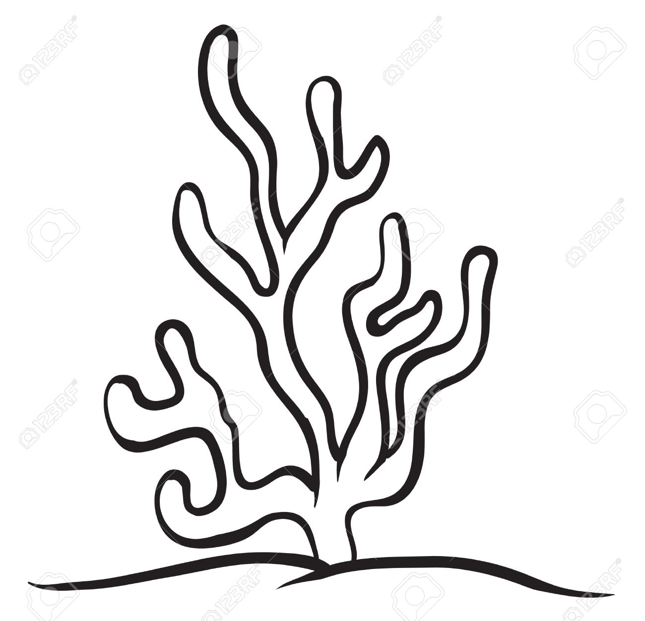 1300x1253 Drawn Plant Aquatic