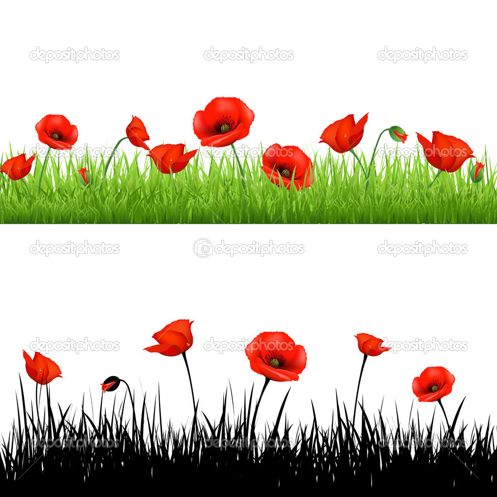 1024x1024 Outline Border