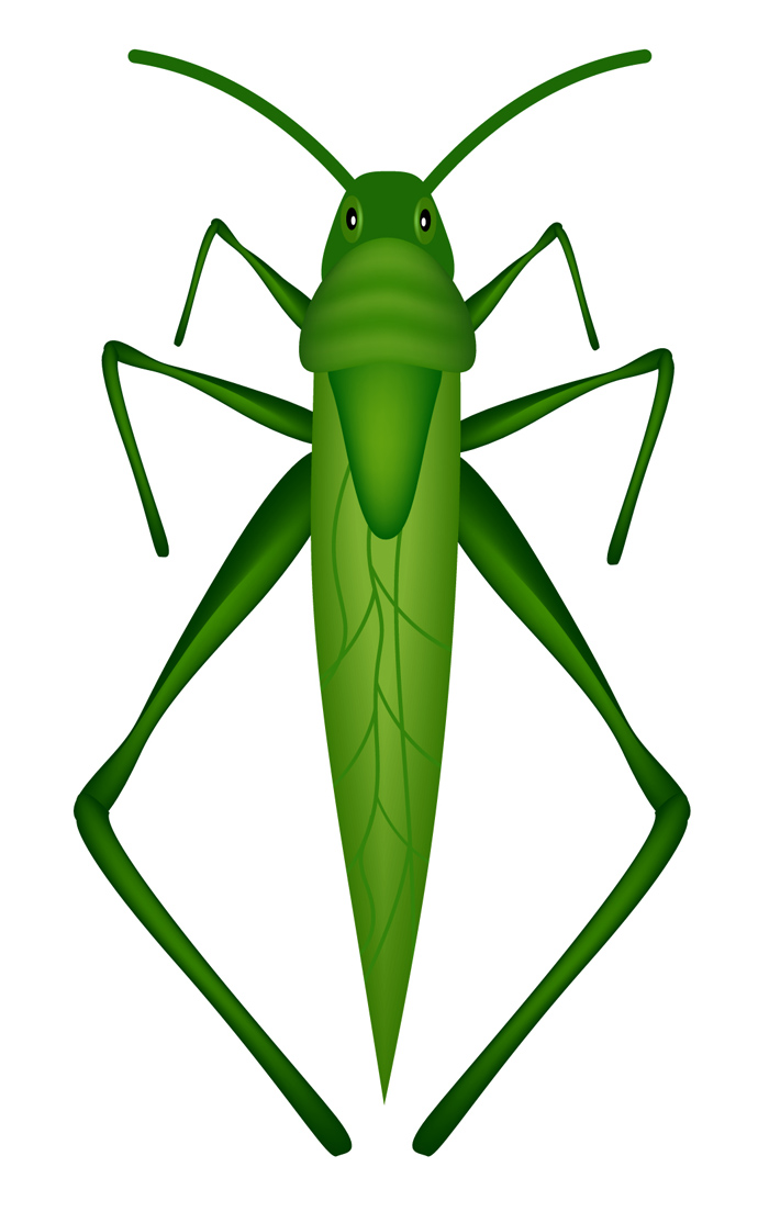 Grasshopper Clipart