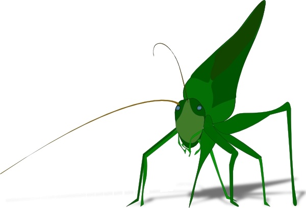 600x408 Grasshopper Clip Art Free Vector In Open Office Drawing Svg ( Svg