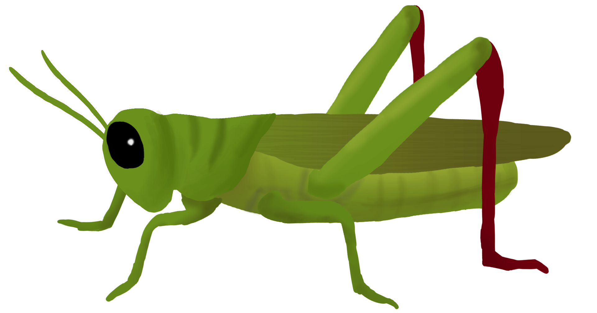 1920x1008 Grasshopper Clipart Mart