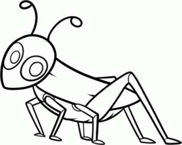 600x479 Grasshopper Clipart Sketch
