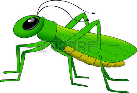 450x306 Locust Clipart Green Grasshopper