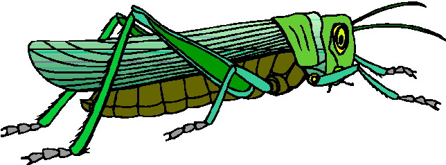 644x238 Grasshopper Clip Art