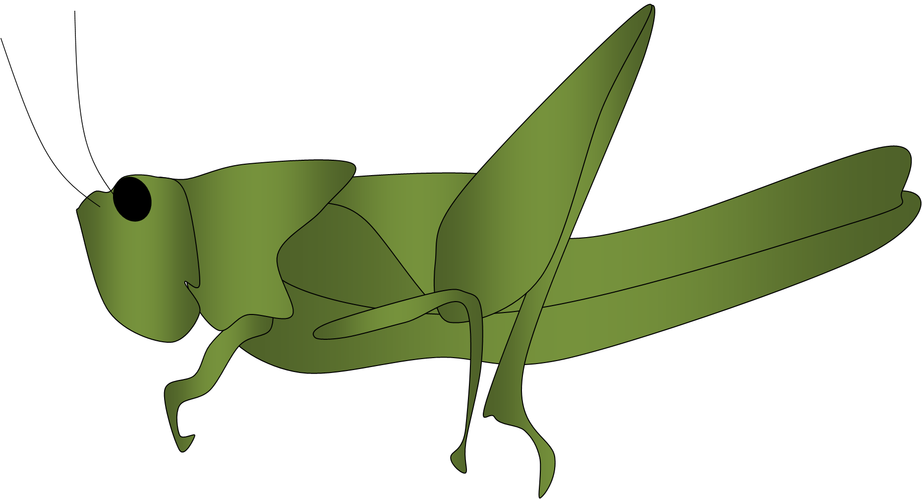 1860x1006 Grasshopper Clipart 4