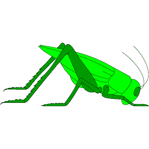 300x300 Grasshopper Clipart Cliparts Of Free Download Wmf