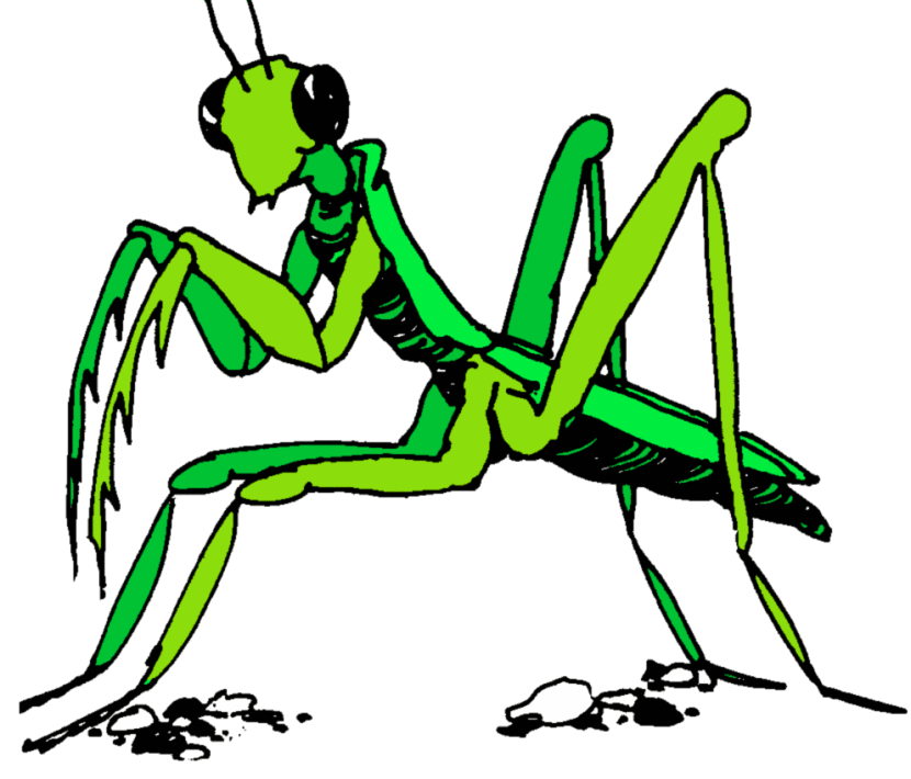 830x710 Top 94 Praying Mantis Clip Art