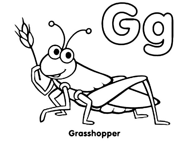 600x470 Exciting Grasshopper Coloring Page 33 About Remodel Coloring Books