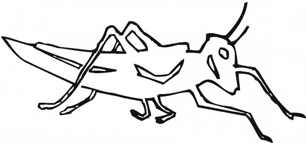 600x280 Grasshopper Reads Book Colouring Page Fun Colouring