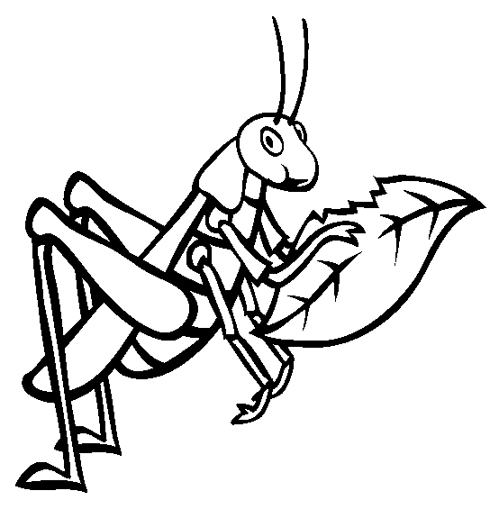 554x565 Grasshopper Coloring Page