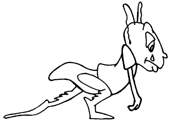 600x426 Sad Grasshopper Coloring Page