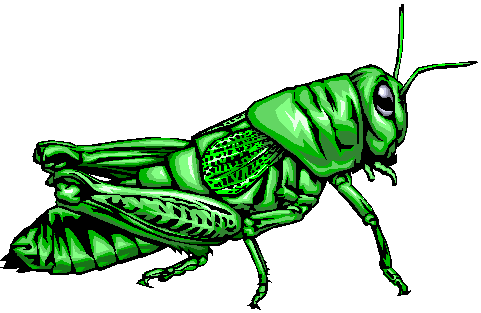481x313 Grasshopper Cartoon