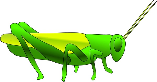 600x313 Grasshopper Free Vector In Open Office Drawing Svg ( Svg ) Vector
