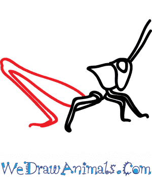 300x350 How To Draw A Field Grasshopper