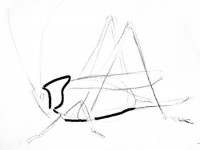200x150 How To Draw A Grasshopper