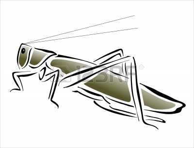 400x306 Drawing Of A Grasshopper.html In Source