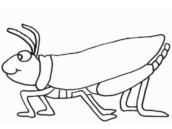 Grasshopper Drawing For Kids