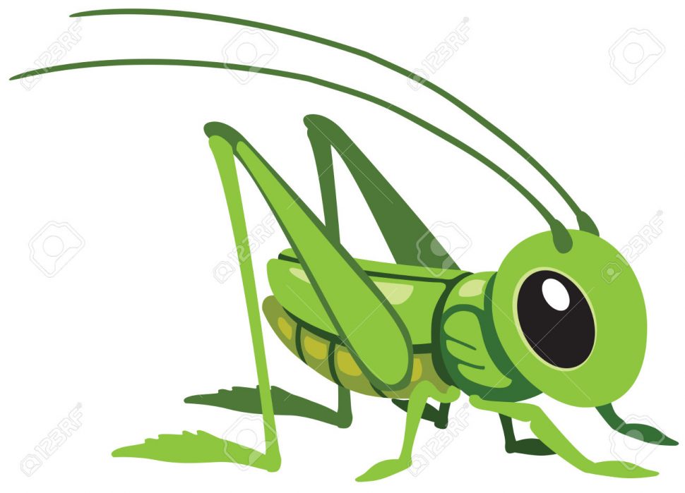 970x699 Coloring Pages Appealing Grasshopper For Kids Header Coloring