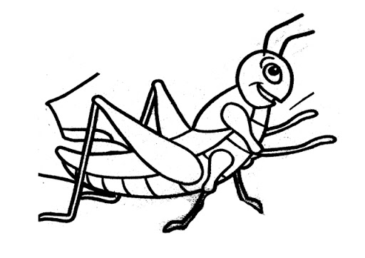 Grasshopper Drawing For Kids | Free download on ClipArtMag