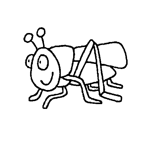 505x470 Free Printable Grasshopper Coloring Pages To Print Barriee