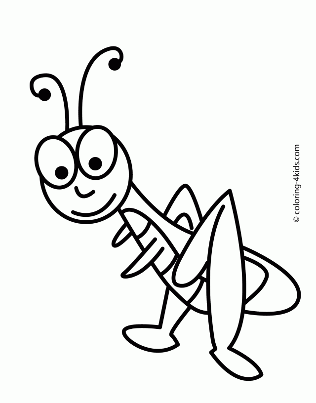 640x816 Grasshopper Drawing For Kids Clipart Panda