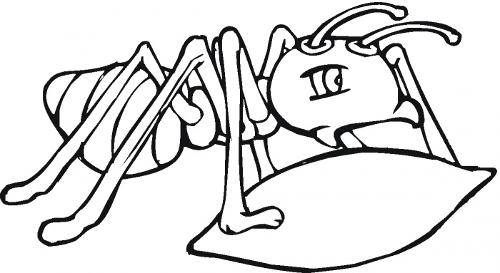 700x383 Grasshopper Clipart Outline