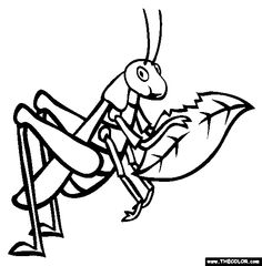 236x240 Free Animals Grasshopper Printable Coloring Pages For Preschool