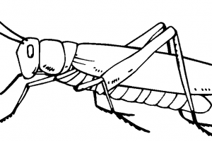 300x200 Good Grooming For Kids Clipart 9 Clipart Station