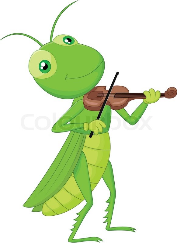 582x800 Buy Stock Photos Of Grasshopper Colourbox