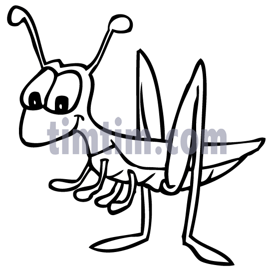 549x551 Coloring Pages Fascinating Grasshopper Drawings Draw A Step 5