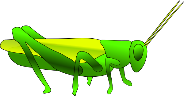 600x313 Grasshopper Clipart
