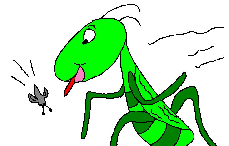 962x613 Grasshopper Clipart