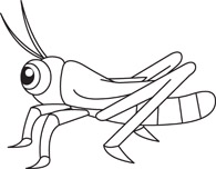 195x152 Grasshopper Clipart Bug