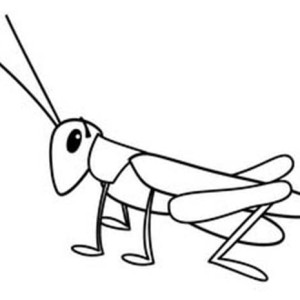 Grasshopper Drawing Outline | Free download on ClipArtMag