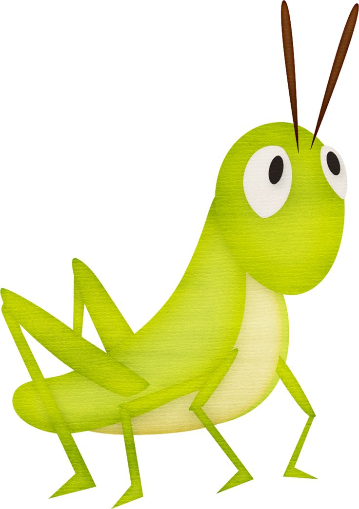 736x1045 Top 81 Grasshopper Clip Art